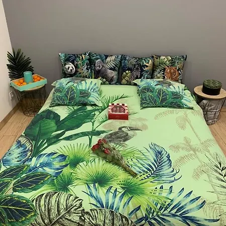 Le Menhir 2 Jacuzzi Terasse Barbecue * La Roche-Blanche (Puy-de-Dome)