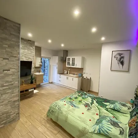 Apartment Le Menhir 2 Jacuzzi Terasse Barbecue La Roche-Blanche (Puy-de-Dome)